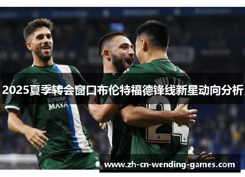 2025夏季转会窗口布伦特福德锋线新星动向分析
